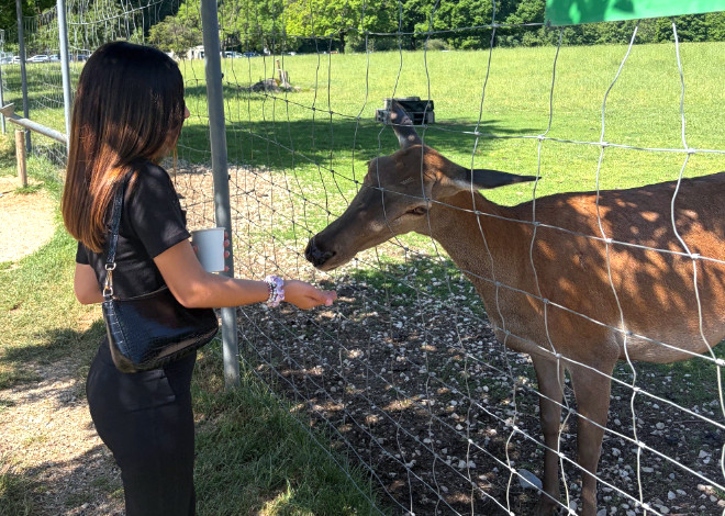 Besuch im Wildpark