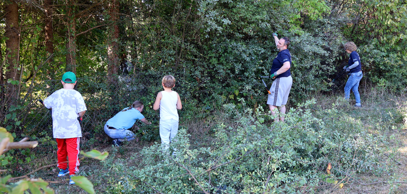 Die Baumwiese der Sophienpflege in Öschingen wird von Gestrüpp befreit